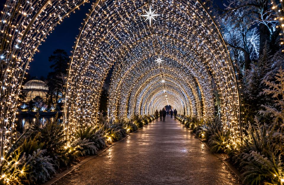 Kew'de Noel Işıkları